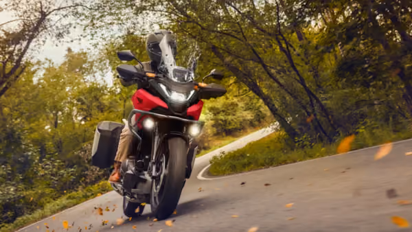 NC 750X na floresta